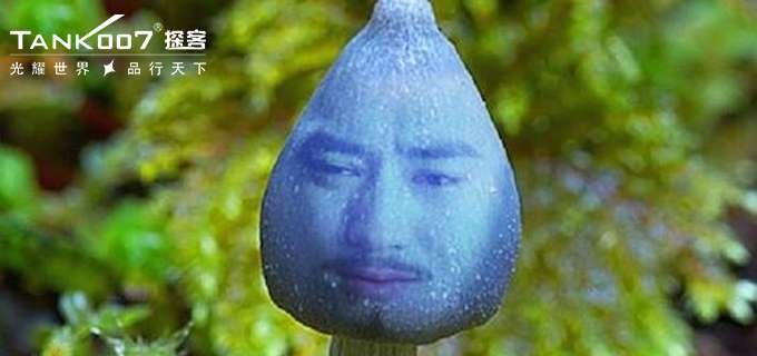 1476347120263936.jpg P圖.jpg