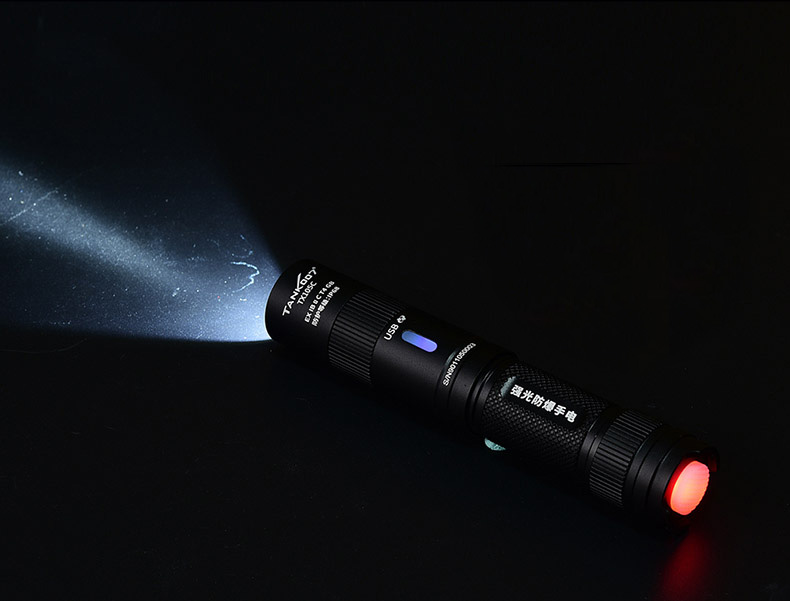 1662627547813828.jpg TX105C-去特寫_12.jpg